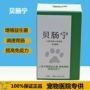 Aina Itbeiining Pet Dog Cat Thuốc tiêu hóa Thuốc tiêu hóa Viêm dạ dày Nôn Điều hòa hiếm gặp Probiotic đường tiêu hóa - Cat / Dog Medical Supplies 	đầu kim tiêm thú y	