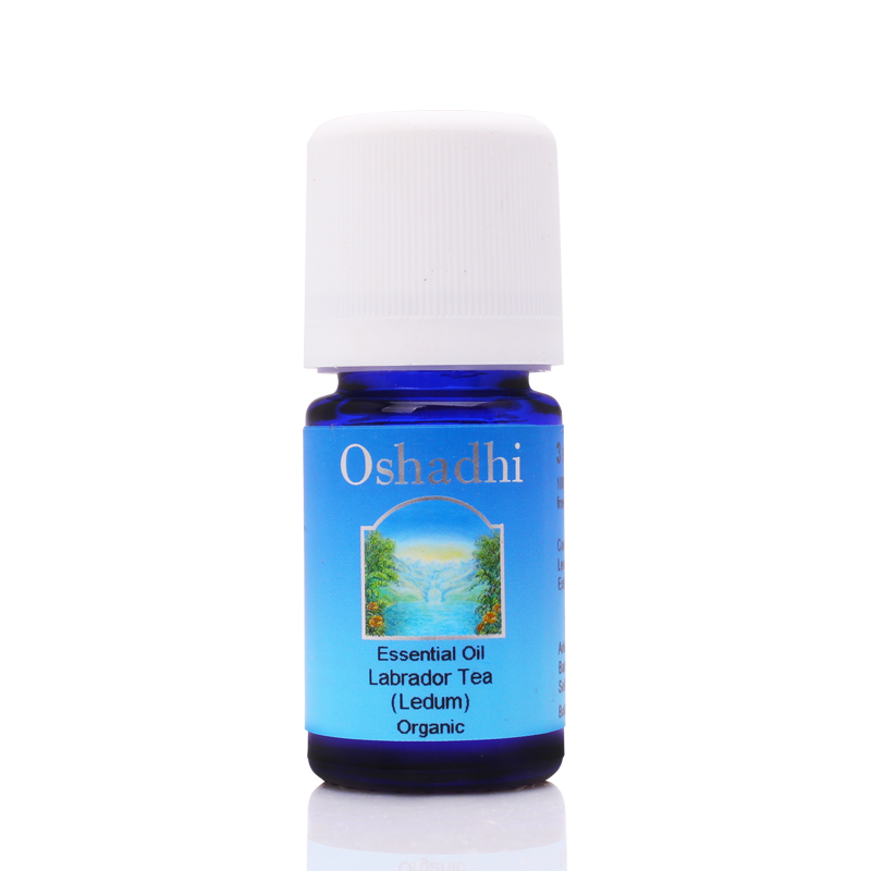 Oshadhi德国O家 #1935格陵兰喇叭茶（Bio级）3ml