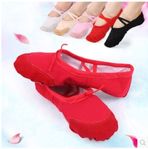 Dance shoes for adults and children soft-soled cat claw shoes ballet shoes canvas girls dance shoes practice shoes yoga shoes