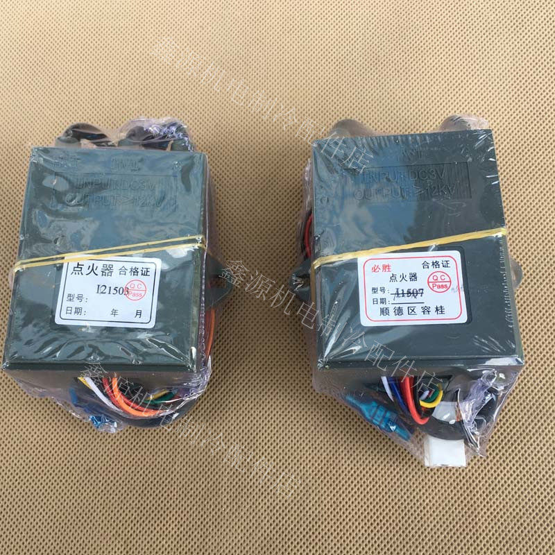 Gas water heater igniter Bisheng igniter Single and double ignition pulse two-wire three-wire igniter accessories