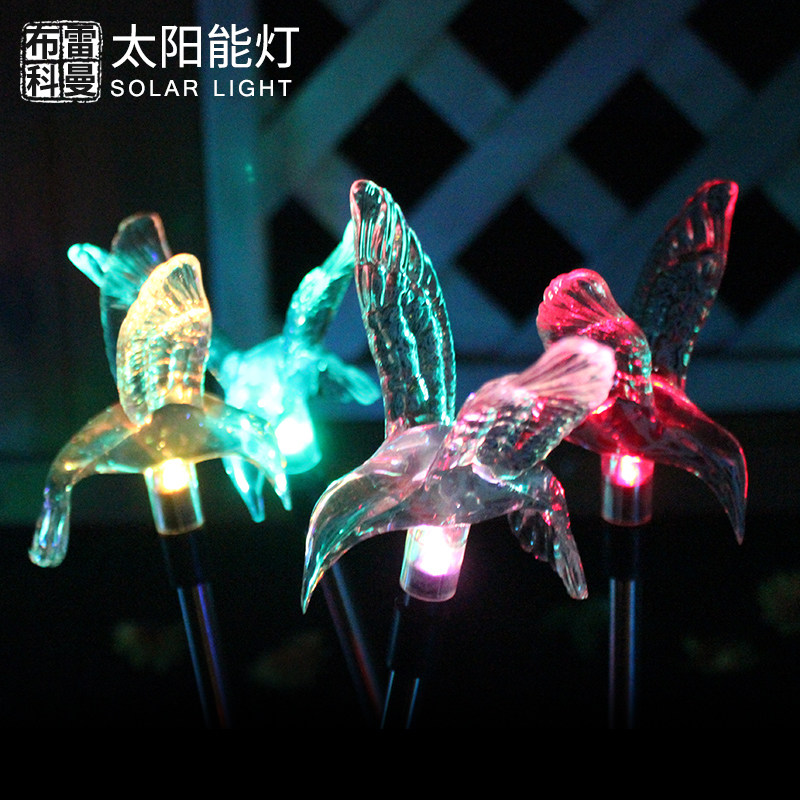 ���׿���̫���ܷ����߲ʱ�ɫ��ƺ�� C0001FN