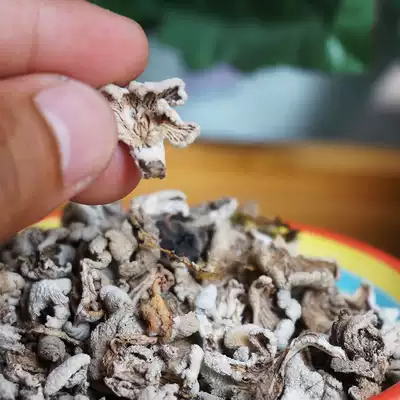 Yunnan Dehong specialty alpine rare edible wild white ginseng bacteria Gray tree flower dried goods cracked pleated bacteria 100g