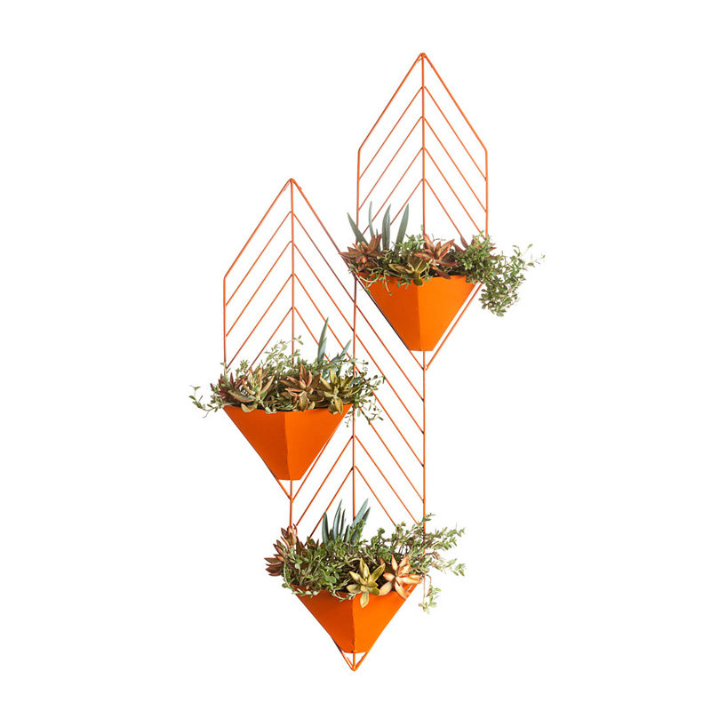 �������������ִ���Լ����TOY88-703