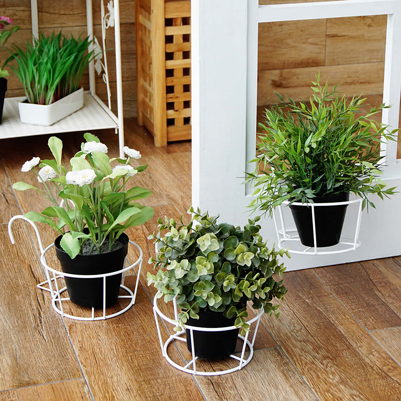 ŷ���ܱڹ�ʽԲ�λ��̼�1��3ֻ109852