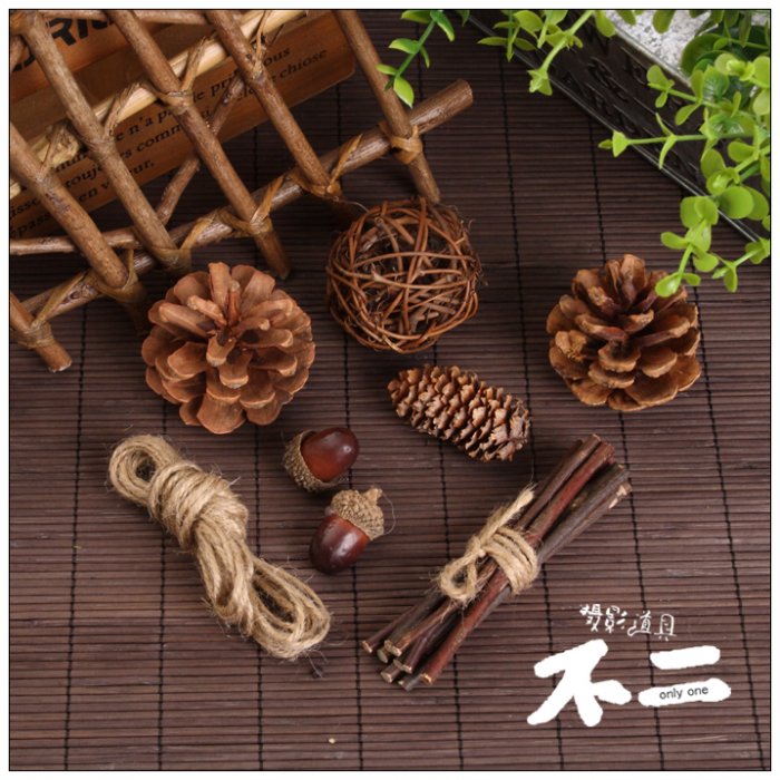 Retro Style Forest Suit Naughty Photography Props Ornament Online Store Shooting Photo Props 29