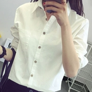 Mùa xuân 2018 mới áo sơ mi trắng nữ dài tay phiên bản Hàn Quốc của áo rộng kích thước lớn phần dài khóa gỗ chạm đáy áo cotton