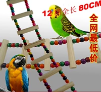 Vẹt nhỏ và vừa leo thang thang đu cắn đồ chơi bằng gỗ hạt thang vẹt cung cấp - Chim & Chăm sóc chim Supplies long chim hoa mi