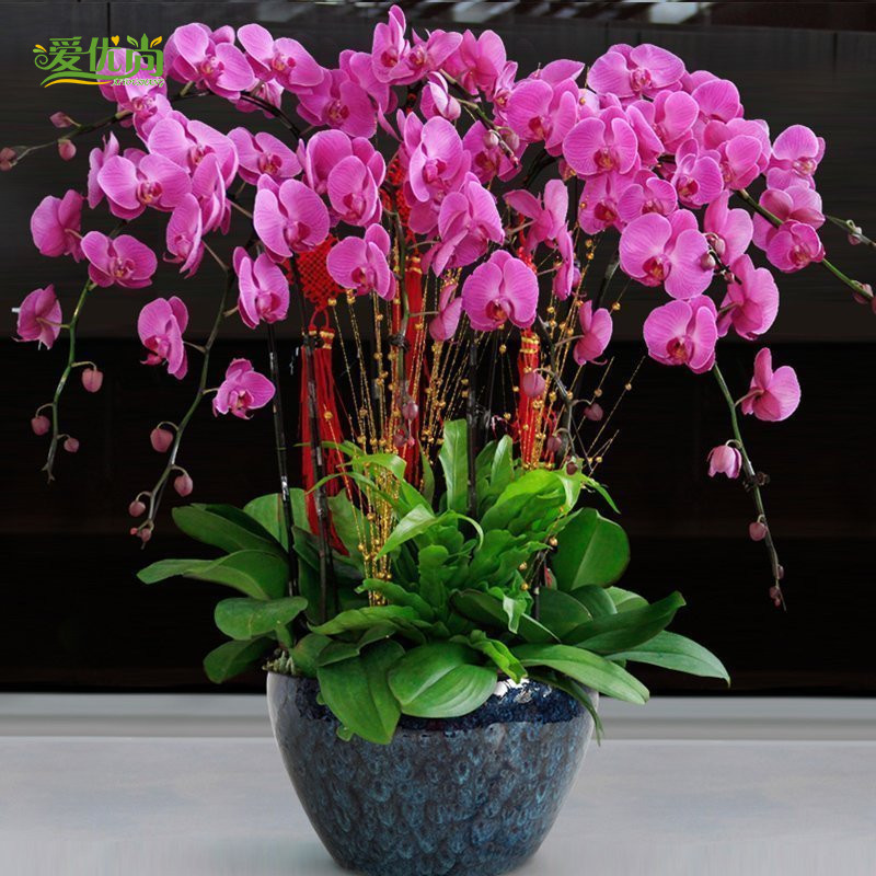 �����к���������