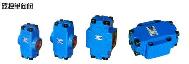 Hydraulic Valve Hydraulic Lock Pressure Holding Valve Shanghai Hydraulic Control Check Valve DFY-F50H1 DFY-F50H2