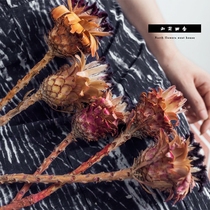 Imported dried flowers Imperial flowers Black feather little princess flower arrangement Floral materials Eternal flowers Real flowers home bed and breakfast decoration