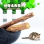 Mèo tham nhũng - Mèo nghiến răng Stick Catnip Gỗ Bọ cạp Mèo Ăn vặt Thú cưng Đồ ăn vặt Gói 10g hạt zenith cho mèo