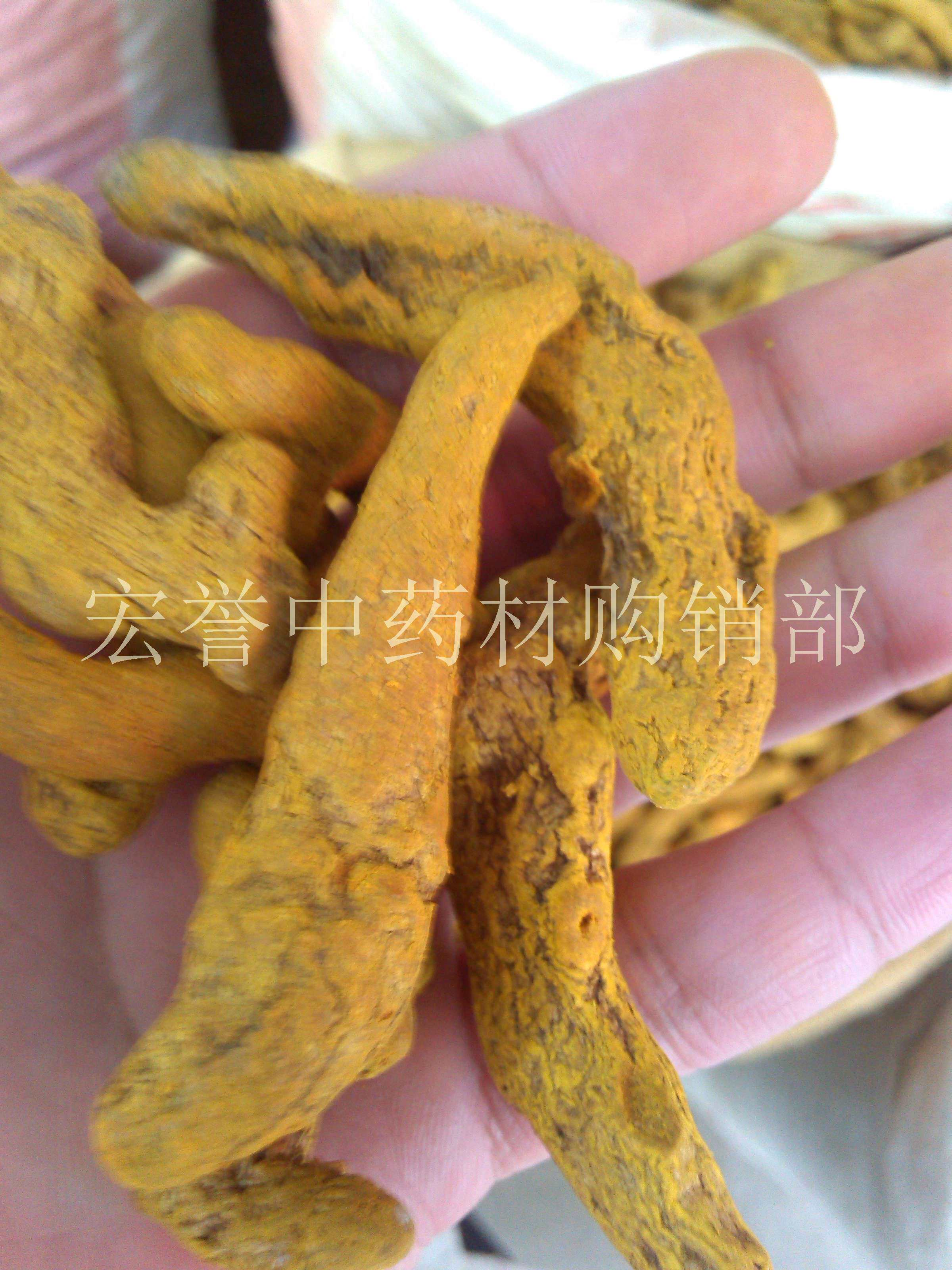 Turmeric stature Chinese herbal medicine 500g