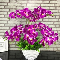 Daily specials Living room home furnishings simulation butterfly orchid potted suit jewelry ornaments Indoor plastic fake