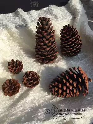 Wholesale supply Christmas pine cone American pine pine 615cm support mixed batch
