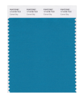 Pantone Pantone Color Card Pantone Official Flagship Store Cotton Version Single Color Card Clothing Home 17-4402 to 17-5025TCX