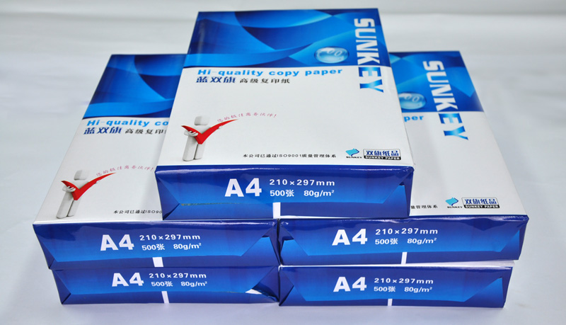 Guangdong Province Blue Double Flag printing paper 80 grams A4 paper with all wood pulp free paper 500 sheets