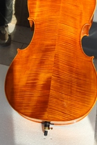 Personal handmade cello playing grade cellulite 30 old material tone very good