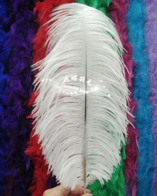 High-end ostrich feathers 45-50cm, performance feathers, wedding feather clothing accessories, white, bright red, black