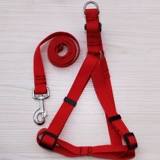 Распространение нейлоновых ремешок с домашним животным с домашним животным с собачьей цепью маленькие и средние грудные ремни Установите поставки собак