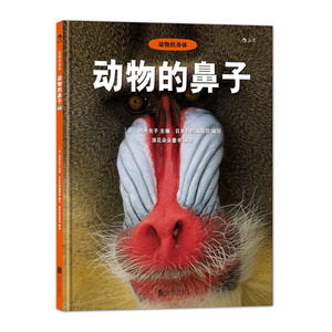 动物的鼻子