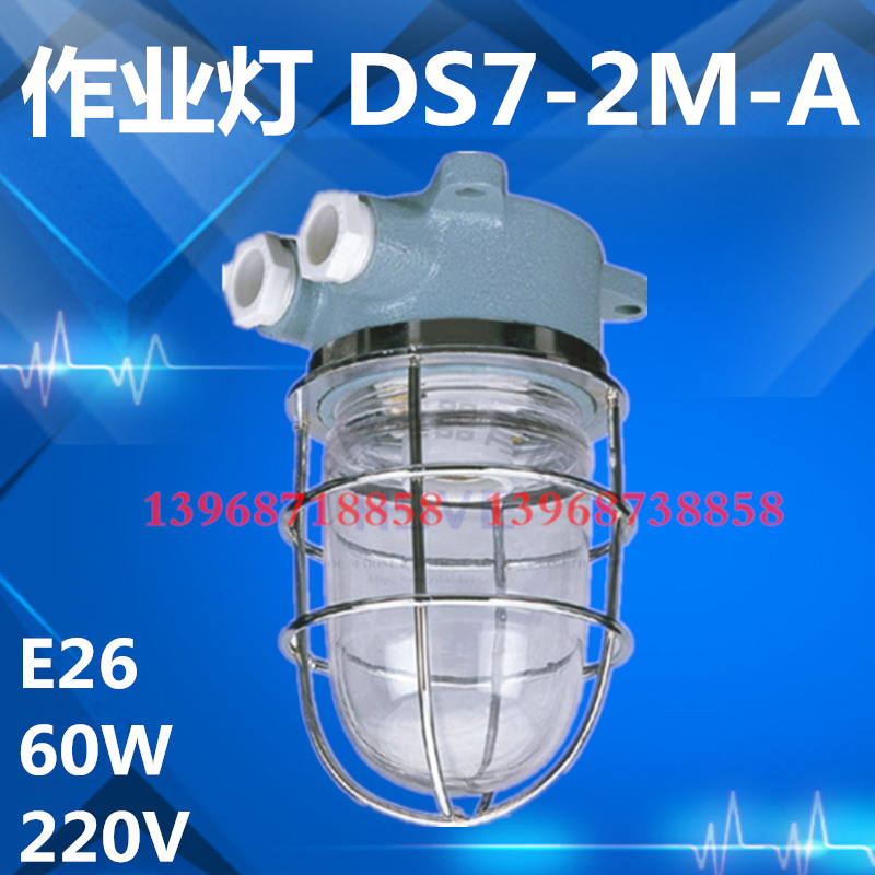 Marine watertight operating incandescent lamp DS7-2M-A Protective grade IP56 Waterproof cabin top deck shaft tunnel furnace cabin lamp
