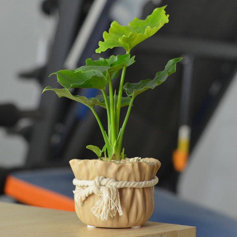 �Ӻ�Ե��������