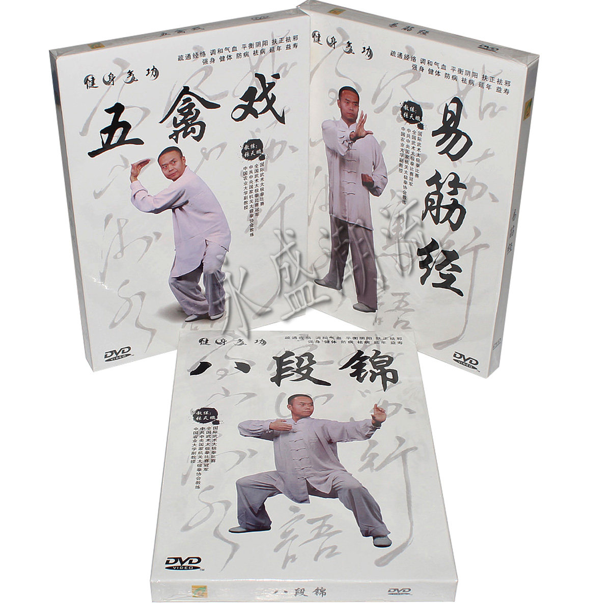 健身气功八段锦五禽戏易筋经中老年健身操教学视频教程3DVD光盘碟