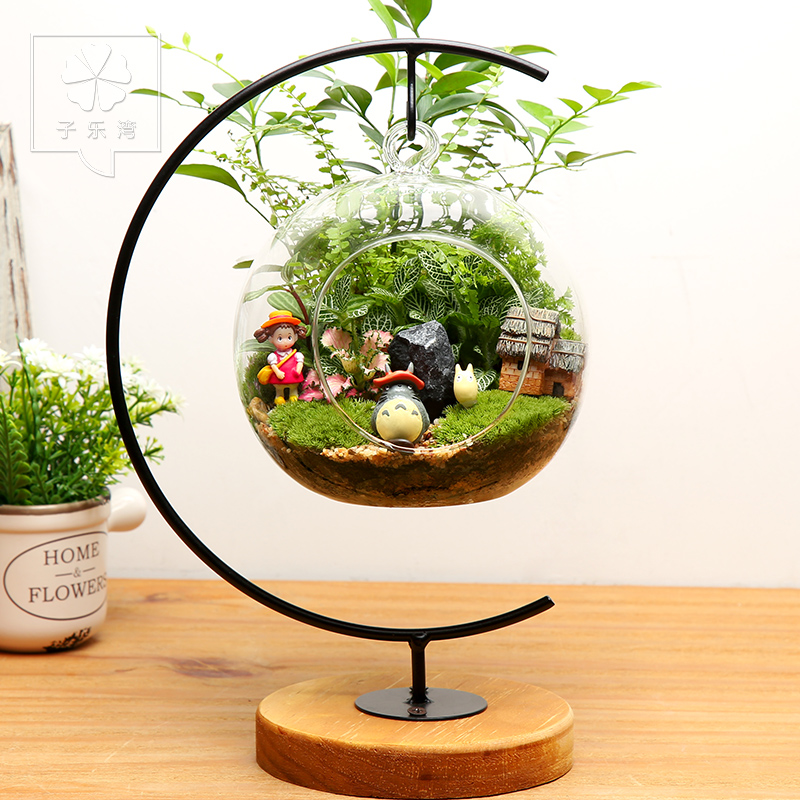 ������̦޺����WJG2