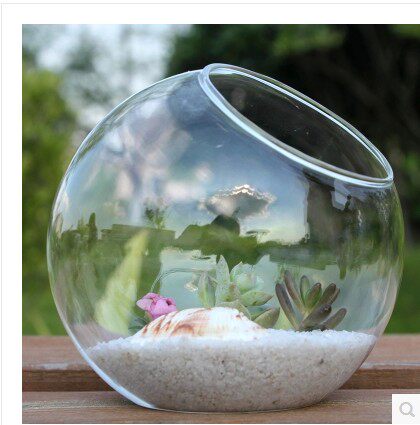 Transparent Round Beveled Glass Vase Succulents Vase Hydroponic flower home decoration Glass