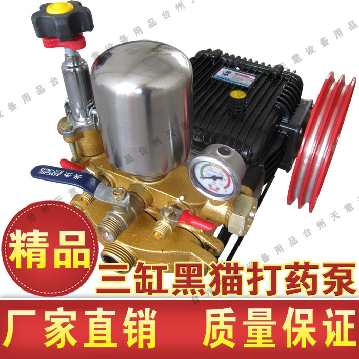 Boutique Thickened Black Cat 60 Agricultural Three-Cylinder Plunger Pump High Pressure Landscaping Fruit Tree Jet Spray Head