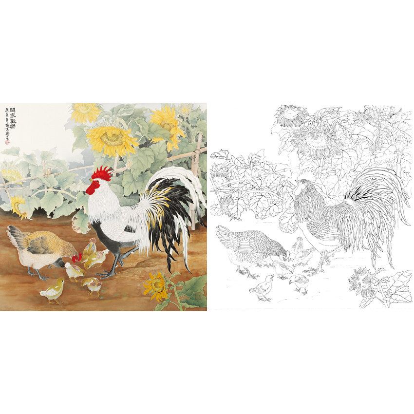 Work Stroke White Sketching Manuscript Sunflower Rooster Hopper Square Zhang Kezi 66 * 66 White paper Print manuscript with coloured pattern 384T