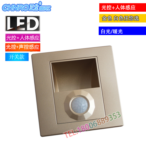 Type 86 LED Ground Lamp Embedded Human Body Induction Wall Lamp Hotel Small Night Light Energy Saving Hallway Stairs Walkway Light