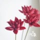 Hoa sen nghệ thuật tự nhiên thực vật Zen trang trí phòng khách trang trí hình ảnh đạo cụ hoa Phật hoa sen hoa nhân tạo - Trang trí nội thất Trang trí nội thất