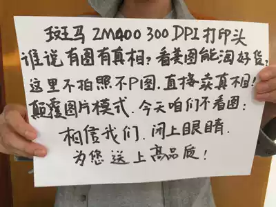 Zebra ZM400 nozzle 300dpi nozzle ZM400 nozzle zebra nozzle