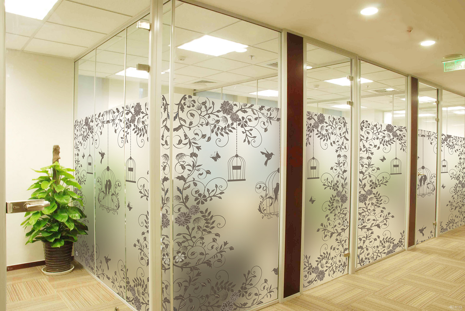 MSŷʽ������Ĥ�¹�����������������Ь�񾲵�Ĥ