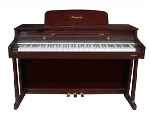 Fuzhou Electronic Organ Electronic Organ Rental