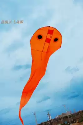 Kunming Tianfei 8 5 meters tadpole orange Black