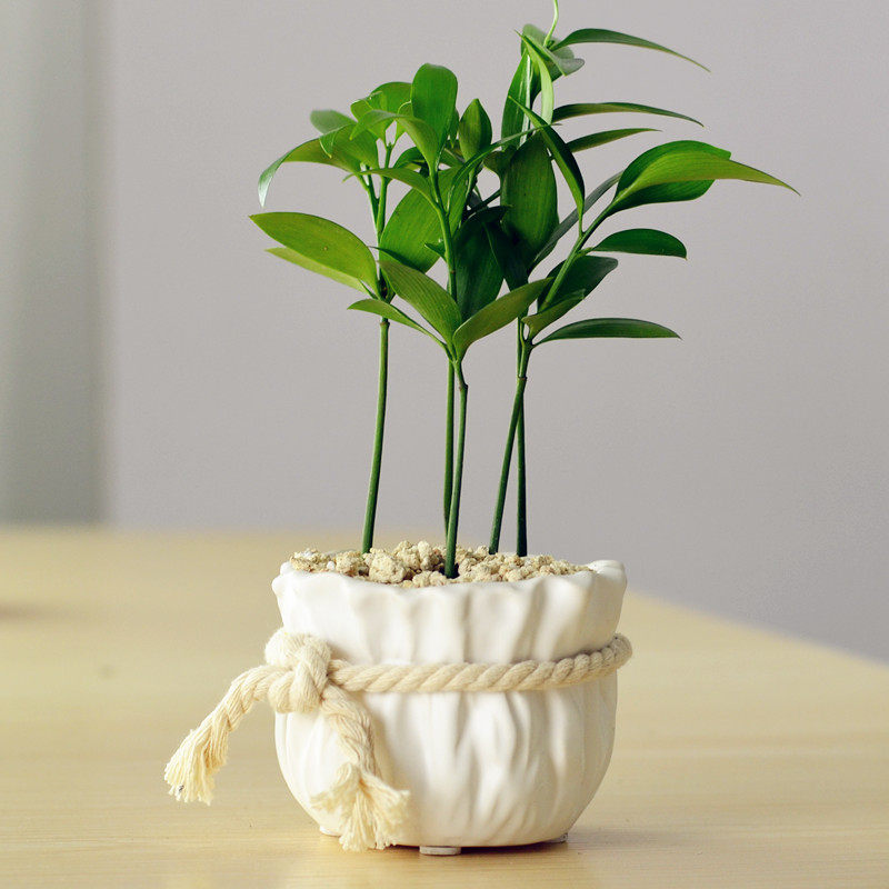 �Ӻ�Ե����辰