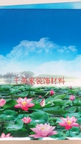 Double 12 years have not been on the new crystal steel film cabinet door waistline self-adhesive Lotus Pond beauty