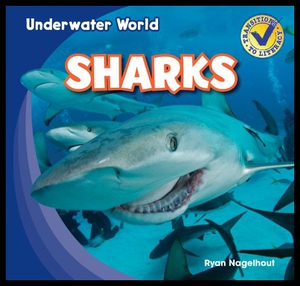 【预售】Sharks
