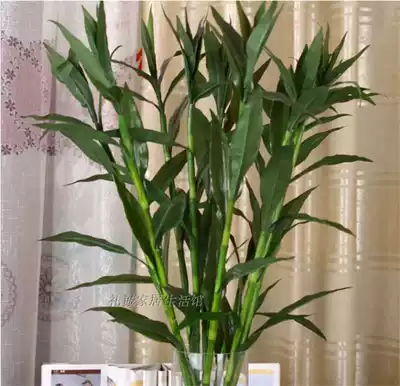 Simulation rich bamboo Lucky bamboo pastoral country living room room fake flower silk flower decoration flower green plant floral art