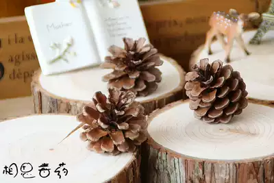 zakka natural pine cones, pine towers, pastoral style, Christmas retro window decoration, dried fruit, photo props background