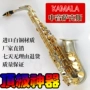 Saxophone saxophone nhạc cụ chính hãng thả e alto saxophone đồng trắng saxophone - Nhạc cụ phương Tây trống lắc