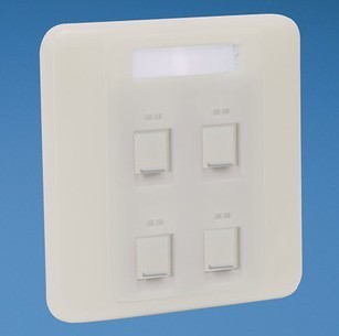 Original American Panduit PANDUIT four-port panel four-port dust-proof panel NKFPL86F4SAW - Taobao