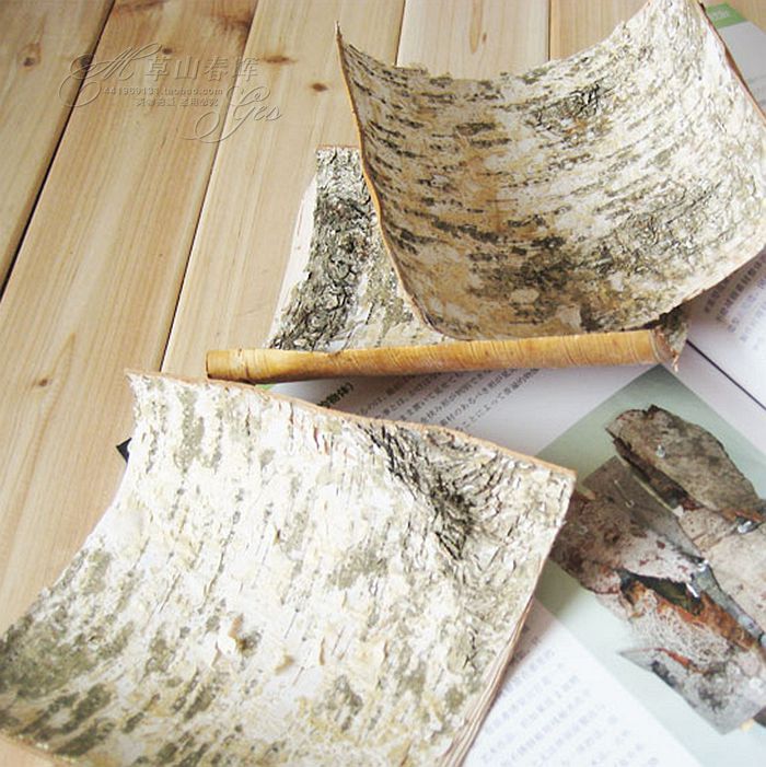 Natural Thin Birch Bark Crafts, Decorative Air-Dried Photography Props, Elm Bark for Wrapping Pipes, DIY Painting Materials