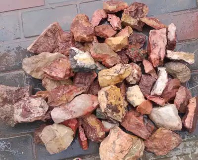 Ningqiang coral jade tonnage curly fine material Finger pattern tubular coral large quantity Preferential paleontological fossils W