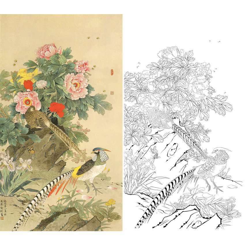 Work Stroke White Sketching Manuscript Physical Hook Line Print Manuscript with high peony broiler 66 * 117 with coloured pattern 523T