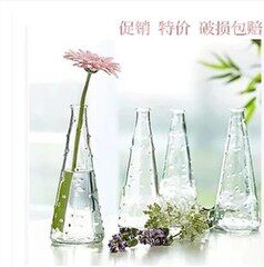 Hydroponic flower bottle creative glass vase transparent hydroponic small hanging bottle hydroponic plant container vase