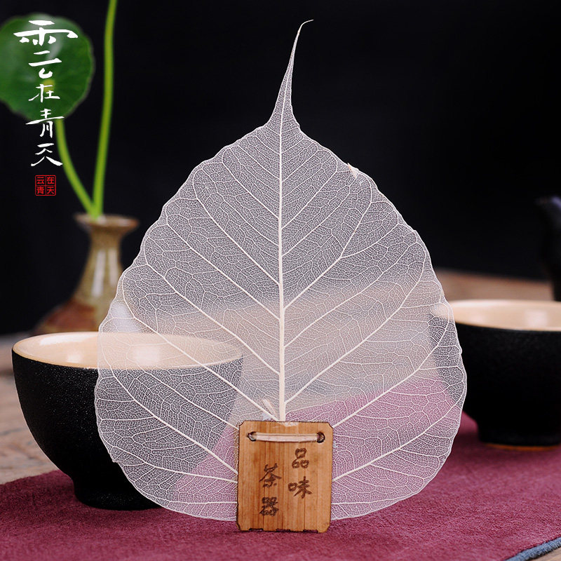 ����������Ҷ��©������HTbd