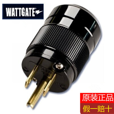 American original WATTGATE WATTGATE 5266i frozen black plug